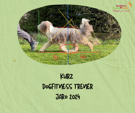 Kurz Dogfitness trenér